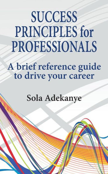 Success Principles for Professionals: A Brief Reference Guide to Drive Your Career