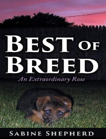 Best of Breed: An Extraordinary Rose