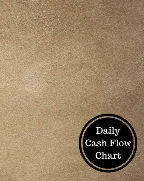 Daily Cash Flow Chart: Daily Cashflow Statement