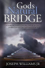 GOD'S NATURAL BRIDGE: ALLOWING GOD TO WORK THROUGH YOU, TO RECONNECT WITH YOUR FAMILY