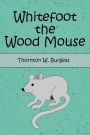 Whitefoot the Wood Mouse (Illustrated)