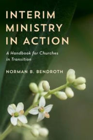 Title: Interim Ministry in Action: A Handbook for Churches in Transition, Author: Norman B. Bendroth