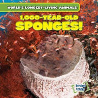 Title: 1,000-Year-Old Sponges!, Author: Joni Kelly