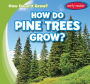 How Do Pine Trees Grow?