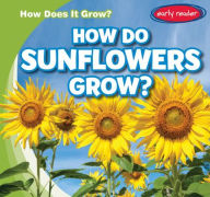 How Do Sunflowers Grow?