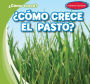 ¿Cómo crece la hierba? (How Does Grass Grow?)