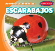 Title: Escarabajos (Beetles), Author: Bray Jacobson