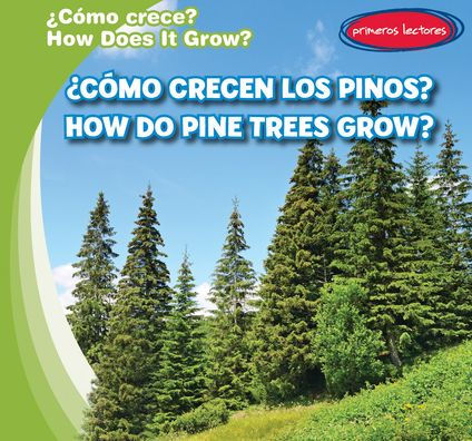 ¿Cómo crecen los pinos? / How Do Pine Trees Grow?