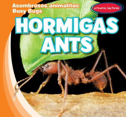 Hormigas / Ants