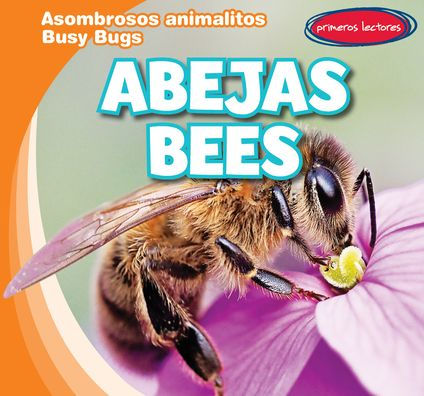 Abejas / Bees
