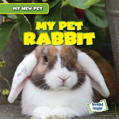 My Pet Rabbit