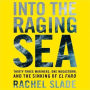 Into the Raging Sea: Thirty-Three Mariners, One Megastorm, and the Sinking of El Faro