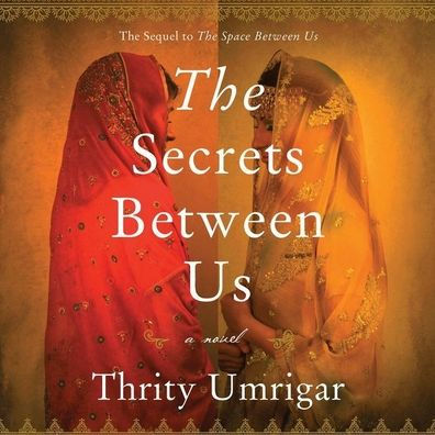 The Secrets Between Us: A Novel