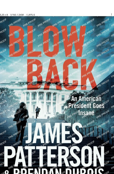 Blowback: A Thriller