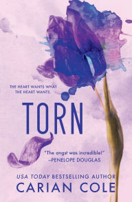 Download ebooks for ipad uk Torn