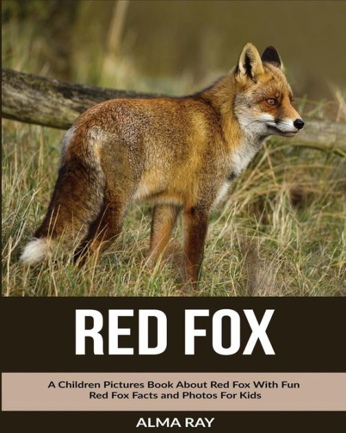 Red Fox: A Children Pictures Book About Red Fox With Fun Red Fox Facts ...