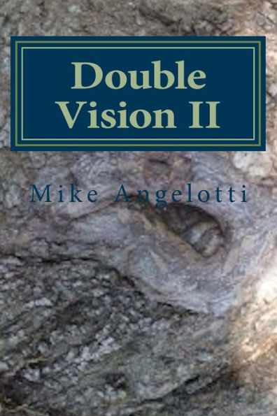 Double Vision II: Living A Poet's Life in Paint, Photo and Word