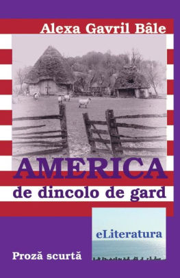 America De Dincolo De Gard Nuvele By Alexa Gavril Bale Paperback