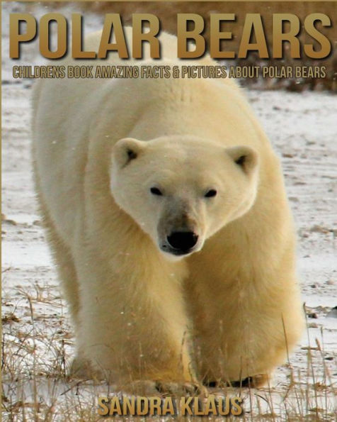 Childrens Book: Amazing Facts & Pictures about Polar bears