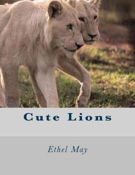 Cute Lions