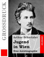 Jugend in Wien (Großdruck): Eine Autobiographie
