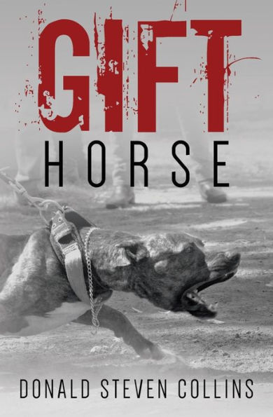 Gift Horse