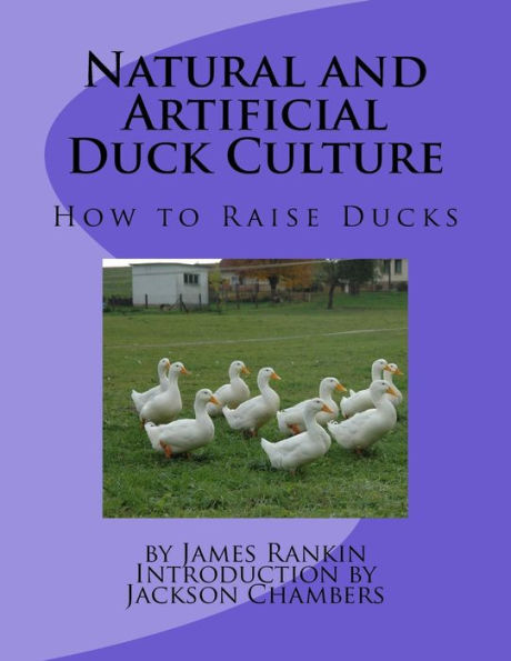 Natural and Artificial Duck Culture: How to Raise Ducks