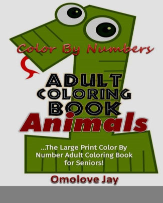 Large Print Adult Coloring Book Color By Number Springtime Designs