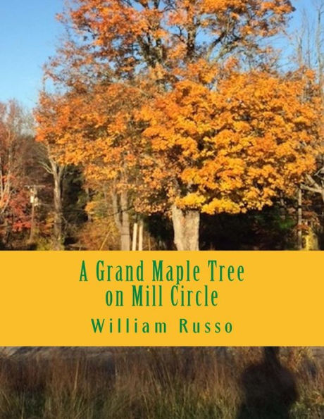 A Grand Maple Tree on Mill Circle