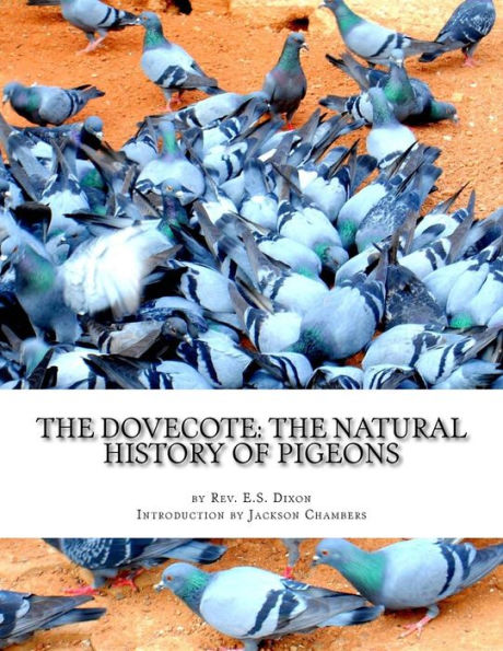 The Dovecote: The Natural History of Pigeons: Pigeon Classics Book 13