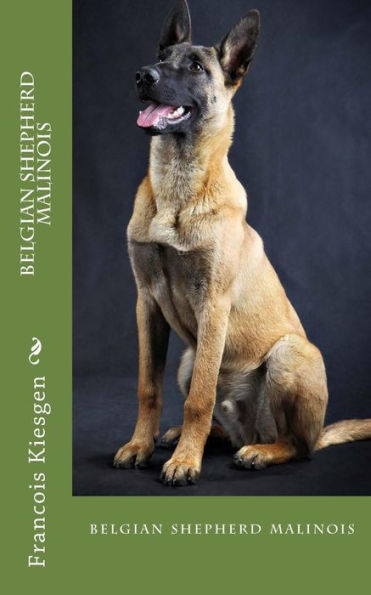 belgian shepherd malinois