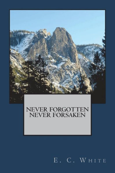 Never Forgotten, Never Forsaken