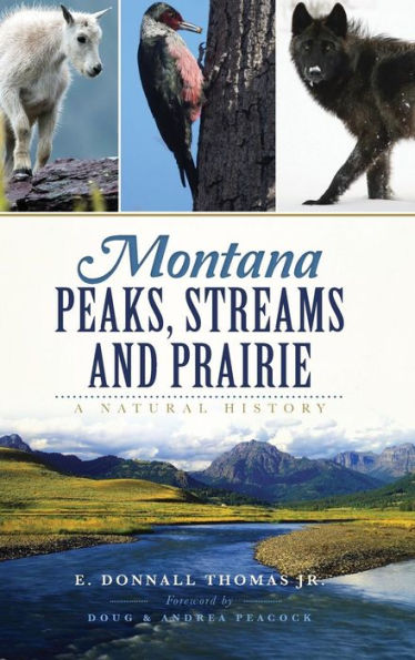 Montana Peaks