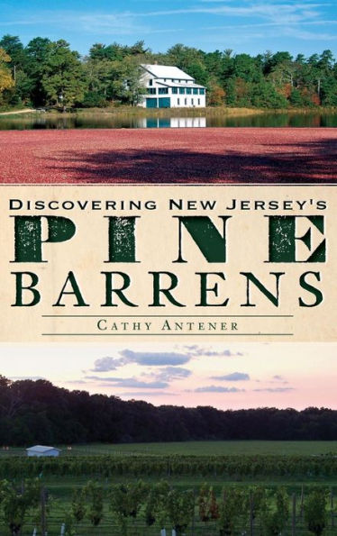 Discovering New Jersey's Pine Barrens