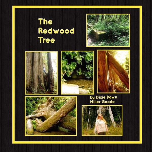 The Redwood Tree