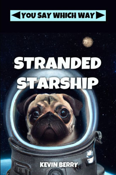 Stranded Starship