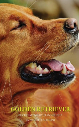Golden Retriever Pocket Monthly Planner 2017 16 Month Calendar By Golden Retriever Pocket Monthly Planner