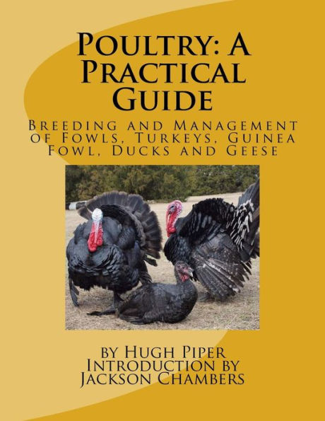 Poultry: A Practical Guide: Breeding and Management of Fowls, Turkeys, Guinea Fowl, Ducks and Geese