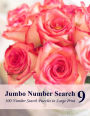 Jumbo Number Search 9: 300 Number Search Puzzles in Large Print