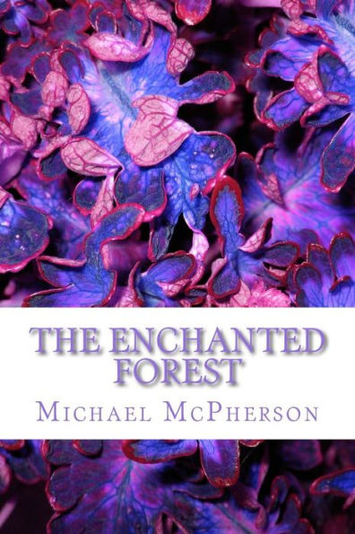 The Enchanted Forest