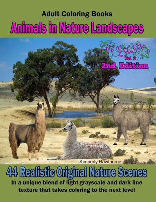 Download Adult Coloring Books Animals In Nature Landscapes 44 Realistic Original Nature 44 Realistic Nature Landscapes With Wild Animals Such As Elephants Giraffes Big Cats Bears Llamas Deer Birds Kangaroos And More By