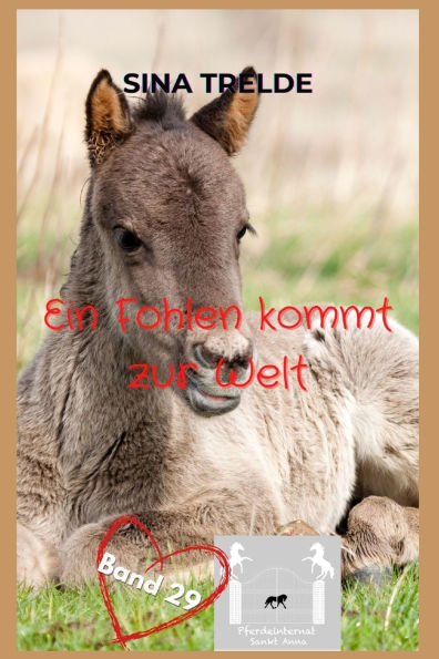 Ein Fohlen kommt zur Welt