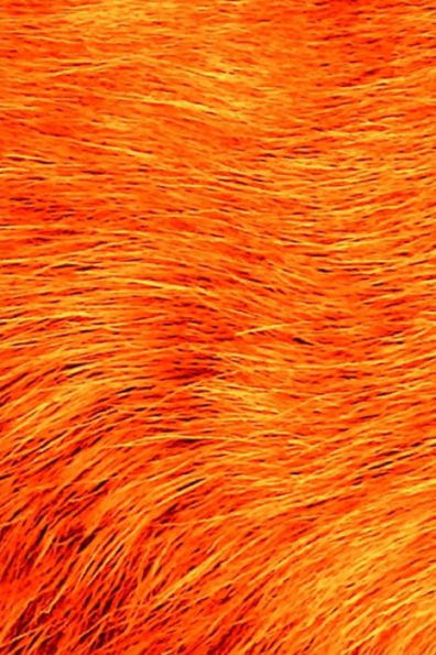 Orange Fur Journal