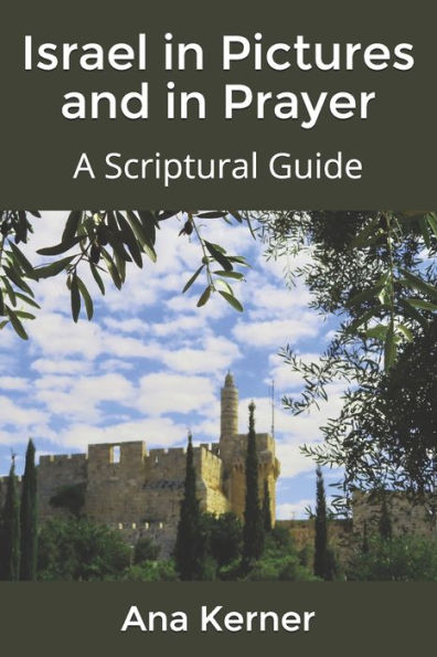 Israel in Pictures and in Prayer: A Scriptural Guide