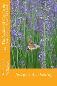 Title: The Awakened City: To the Grace and Power of God: Joseph's Awakening, Author: Denise R Sills/Wilkerson