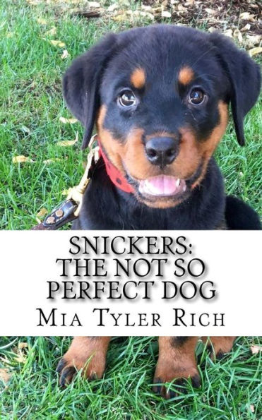 Snickers: The Not So Perfect Dog
