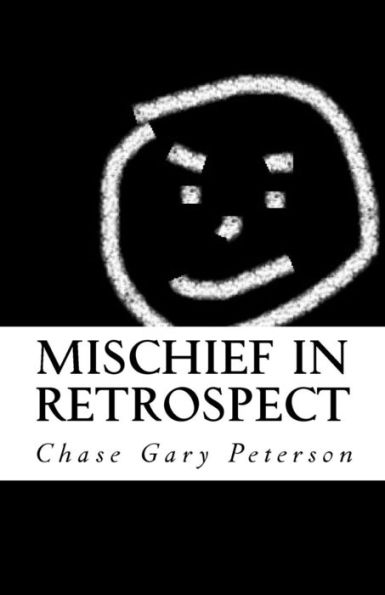 Mischief in Retrospect: An account of model misbehavior in American public schools