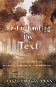 Title: Re-enchanting the Text: Discovering the Bible as Sacred, Dangerous, and Mysterious, Author: Cheryl Bridges Johns