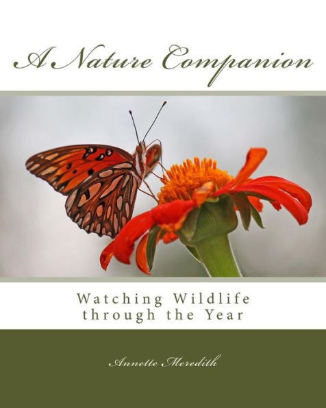 A Nature Companion: Watching Wildlife through the Year