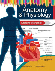 Title: Anatomy & Physiology Coloring WorkBook Books, Author: Anatomy Coloring Book